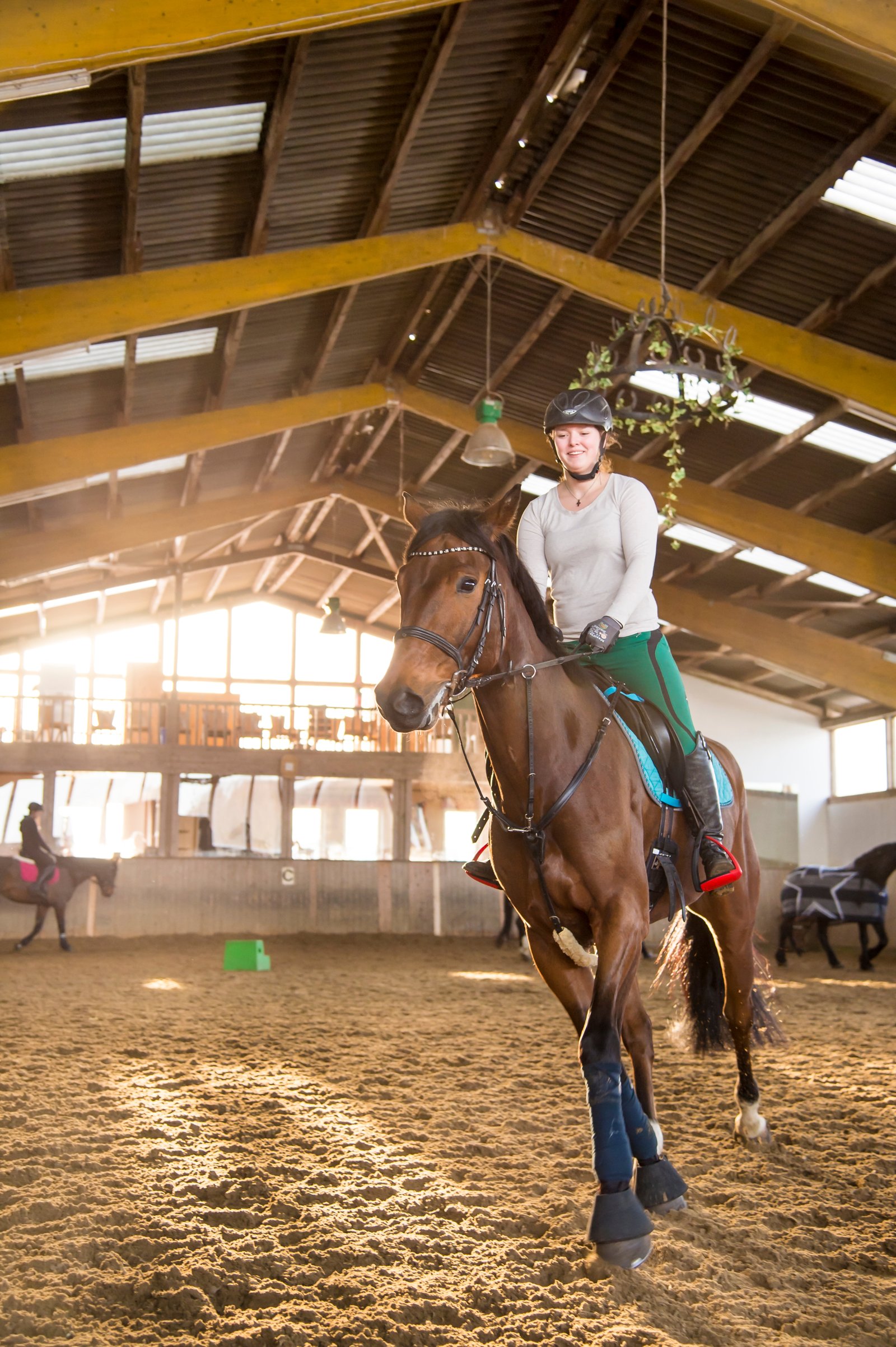Equestrian - post-frame building pricing in Alberta